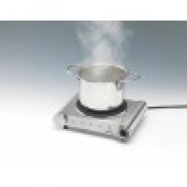 FORNELLO ELETTRICO IDEALE PER CUCINARE FUORI CASA